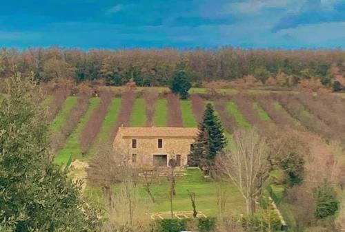 La Bergerie des Amandiers Malataverne Extérieur photo